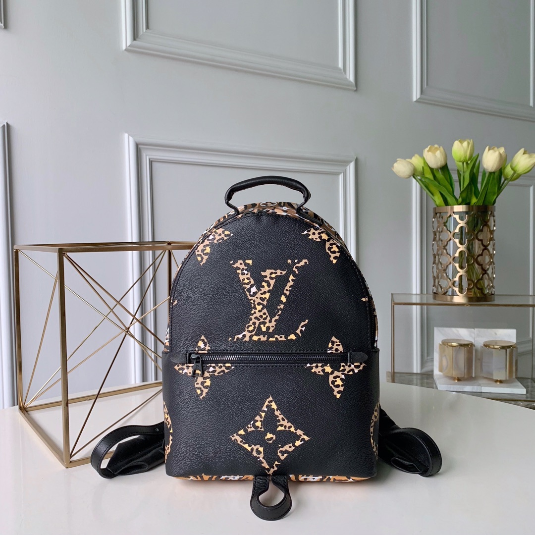 Louis Vuitton LV Palm Springs Bags Backpack Canvas Casual M44718