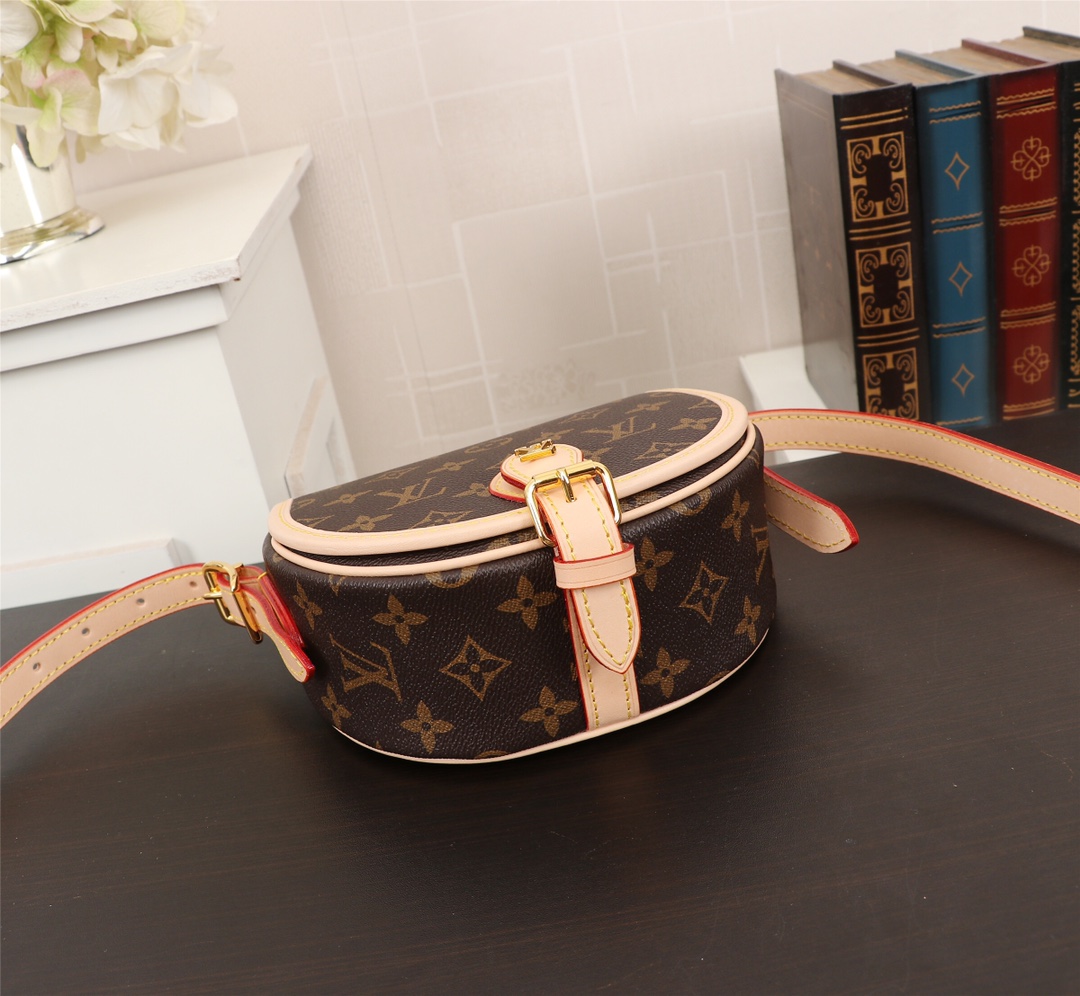 Louis Vuitton Monogram crossbody everyday