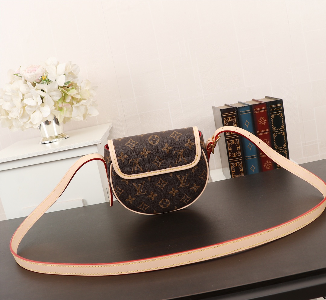 Louis Vuitton Monogram crossbody everyday