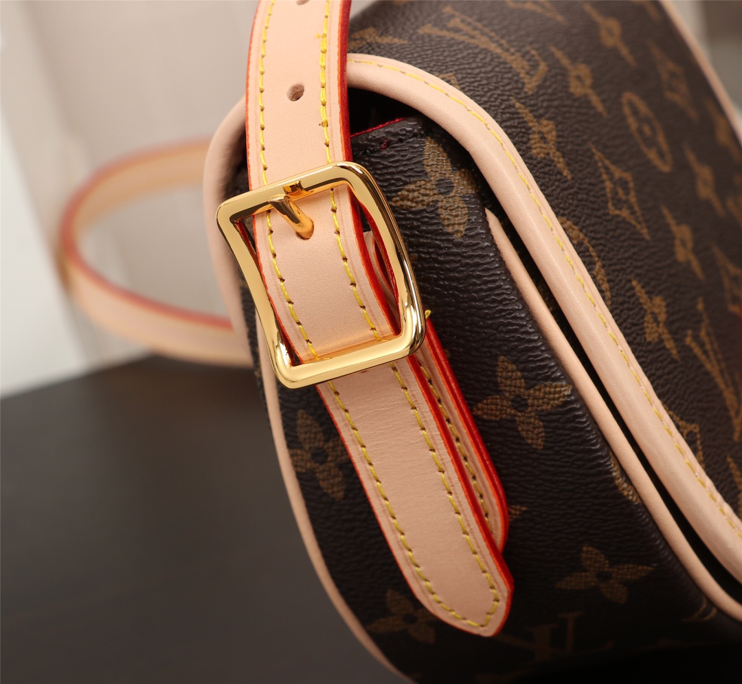 Louis Vuitton Monogram crossbody everyday