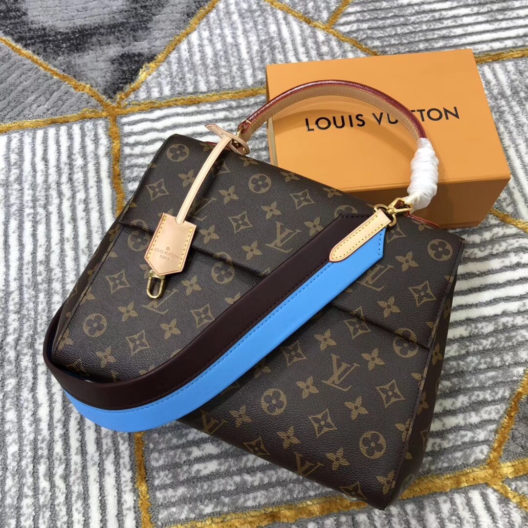 Louis Vuitton LV Cluny Bags Handbags All Steel M42735