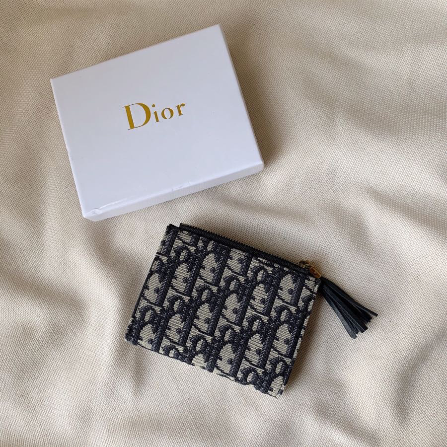 Dior Blue Oblique everyday