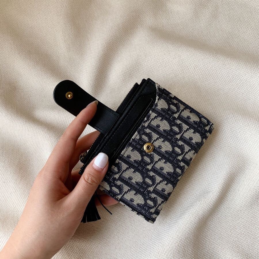 Dior Blue Oblique everyday