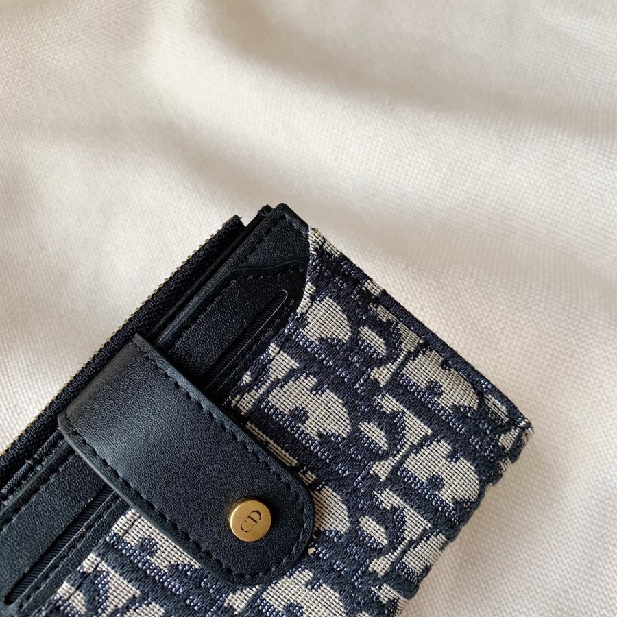 Dior Blue Oblique everyday