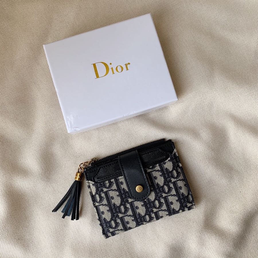 Dior Blue Oblique everyday
