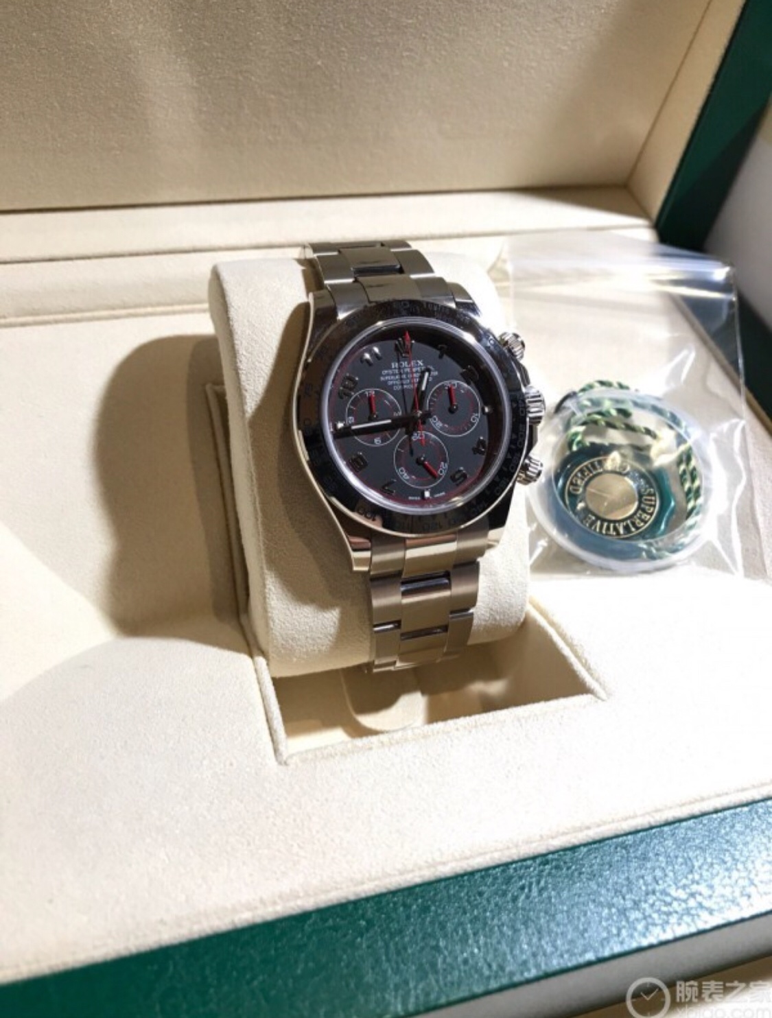 Rolex Watches GCWT1228-501