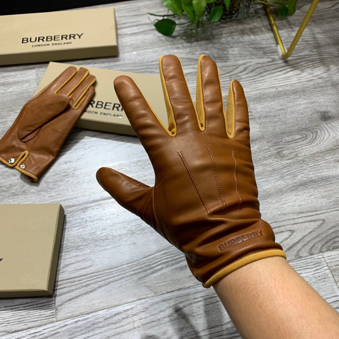 Luxury European Gloves: Cashmere-lined Lambskin with Embossed Logo, Premium Materials, Elegant Design - 图片 4