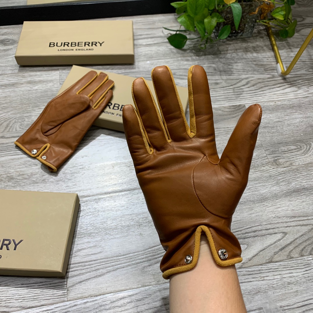 Luxury European Gloves: Cashmere-lined Lambskin with Embossed Logo, Premium Materials, Elegant Design - 图片 5