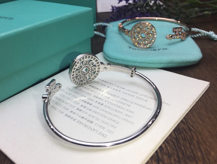 Tiffany & Co Haute Couture Haute Couture Fine Jewelry Necklace Bracelet 6