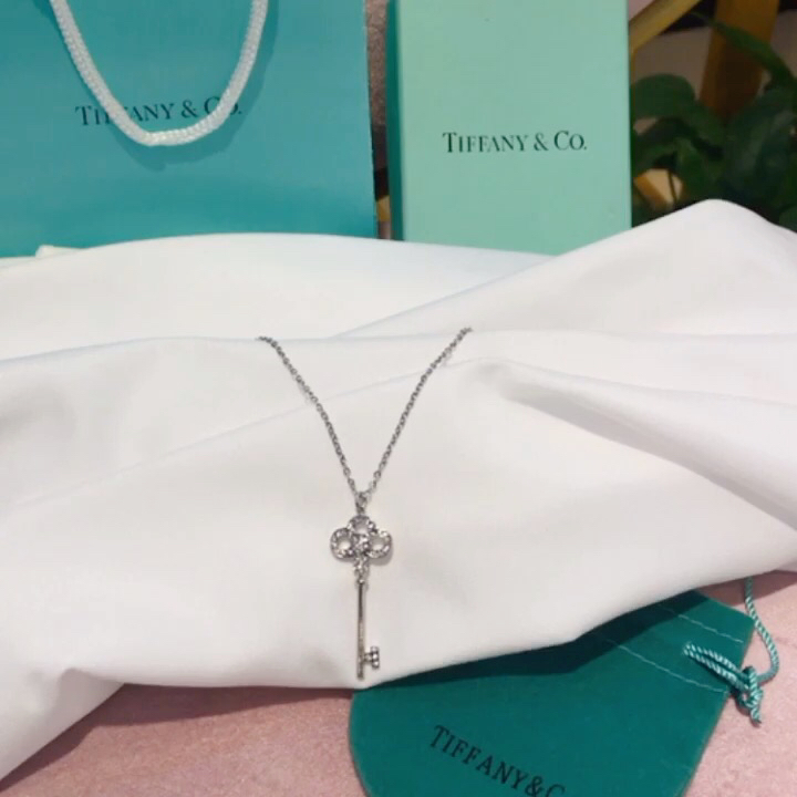 Heart Lock and Key Necklace - Jewelry