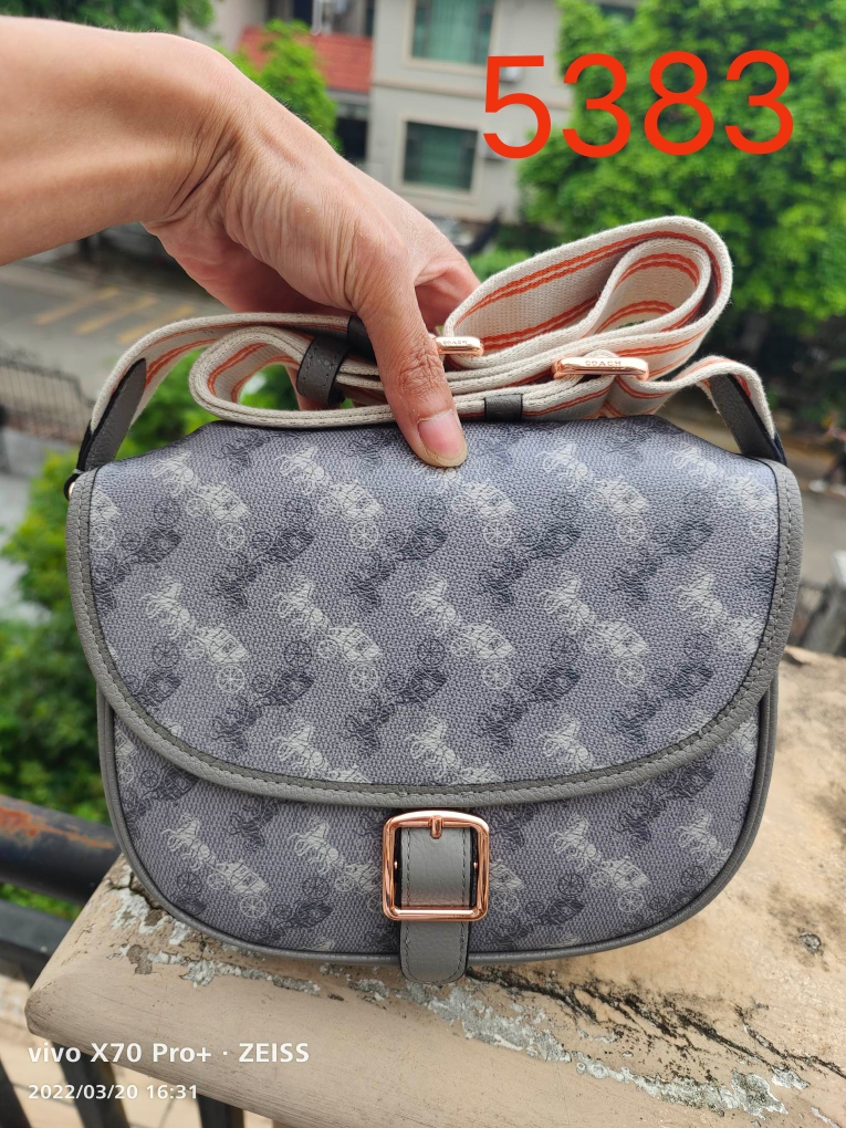 Coach 款号： C5383 coach Hitch Crossbody Bag 主打休闲风 超大翻盖与易开合玫瑰金金属扣设计是日常通勤的不二之选 Horse & Carriage 印花