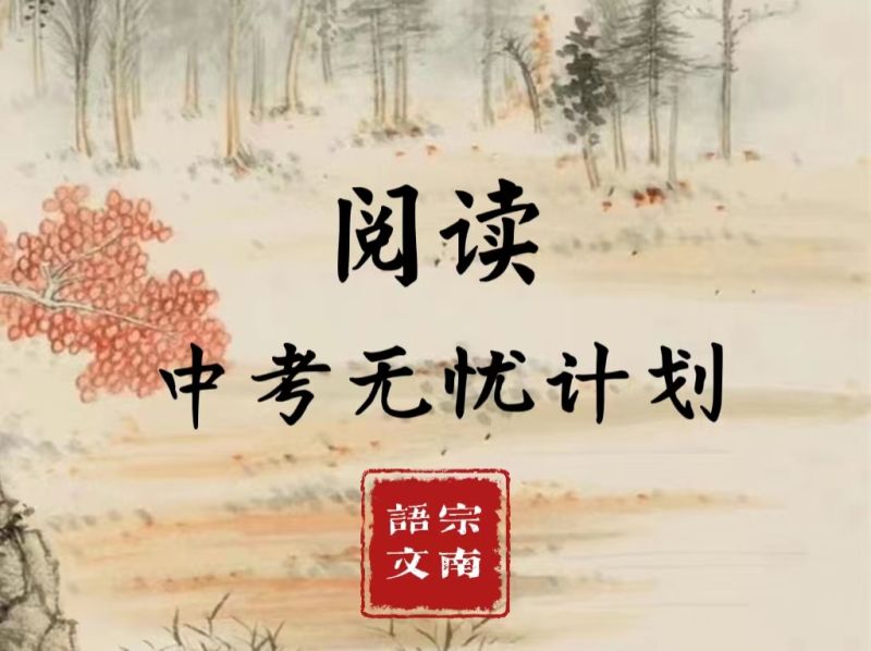 《YL2443-宗南语文-浓缩技法-阅读中考无忧计划》