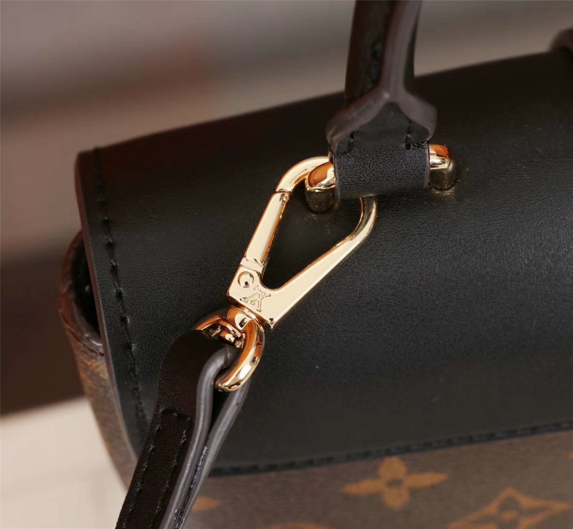 LV bag — practical uses 698282 photo 4