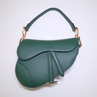 Dior Saddle Handbags Saddle Bags