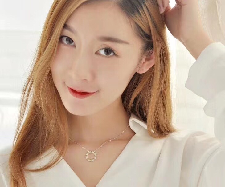 Tiffany & Co. Tiffany&Co.黄白分色圈圈锁骨项链
