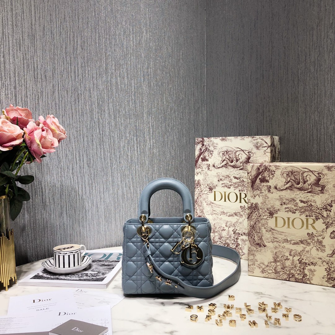 Dior Bags Handbags Gold Sewing Sheepskin Lady
