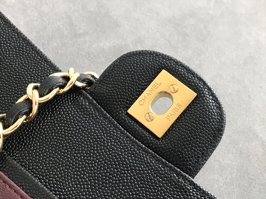 Chanel bag 6