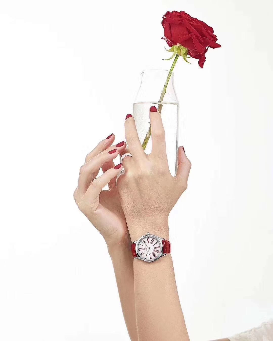 Omega 欧米茄蝶飞名典系列女表