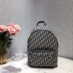 Dior Bags Backpack Unisex