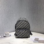 Dior Bags Backpack Printing Canvas Oblique
