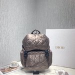 Dior Saddle Bags Backpack Embroidery Cowhide Nylon Winter Collection