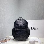 Dior Saddle Bags Backpack Embroidery Cowhide Nylon Winter Collection