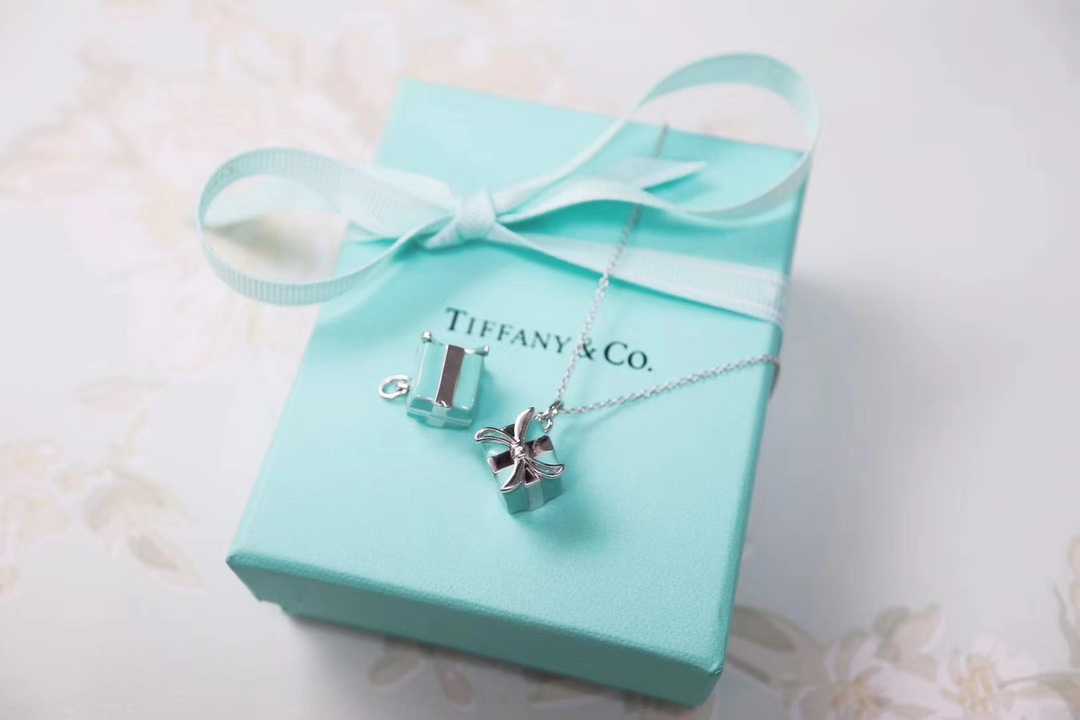 Tiffany & Co. Tiffany&Co.蓝色礼物盒 纯银锁骨项链