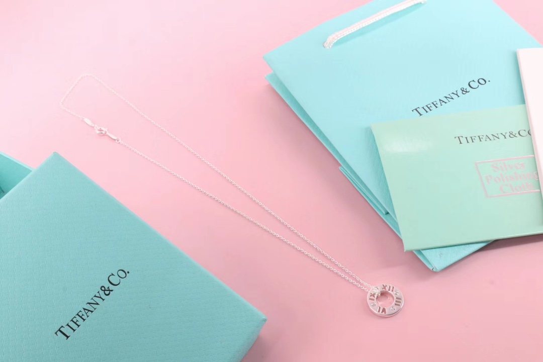 Tiffany & Co. Tiffany&Co. 罗马数字 锁骨项链