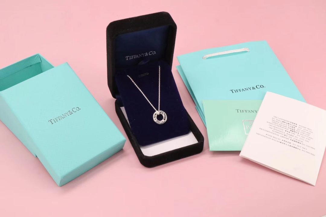 Tiffany & Co. Tiffany&Co. 罗马数字 锁骨项链