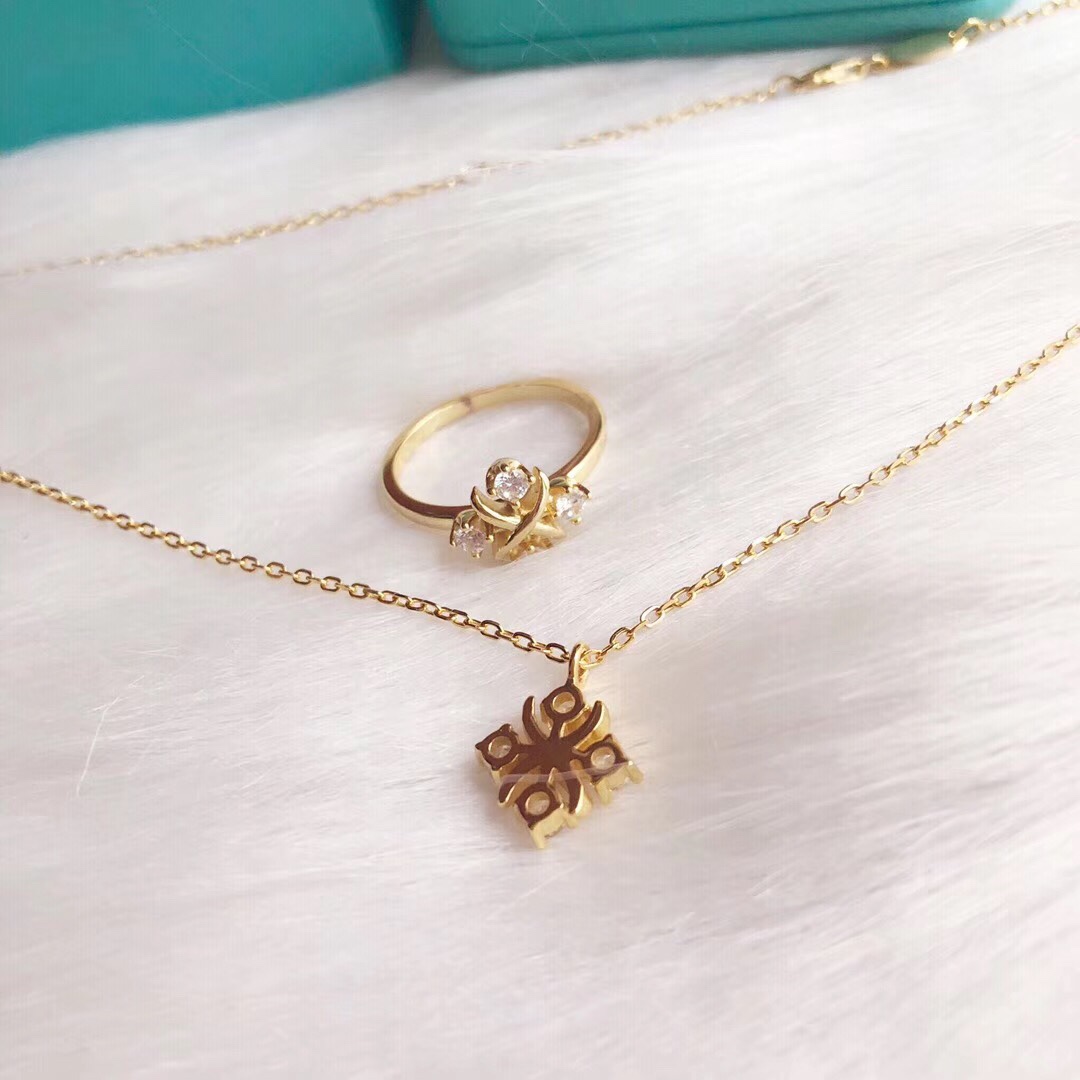 Tiffany & Co. Tiffany 蒂芙尼项链 Schlumberger系列