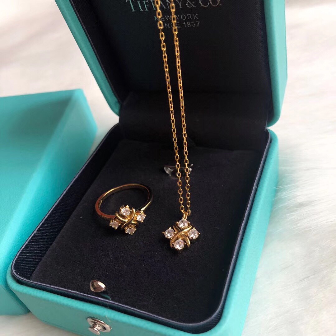 Tiffany & Co. Tiffany 蒂芙尼项链 Schlumberger系列