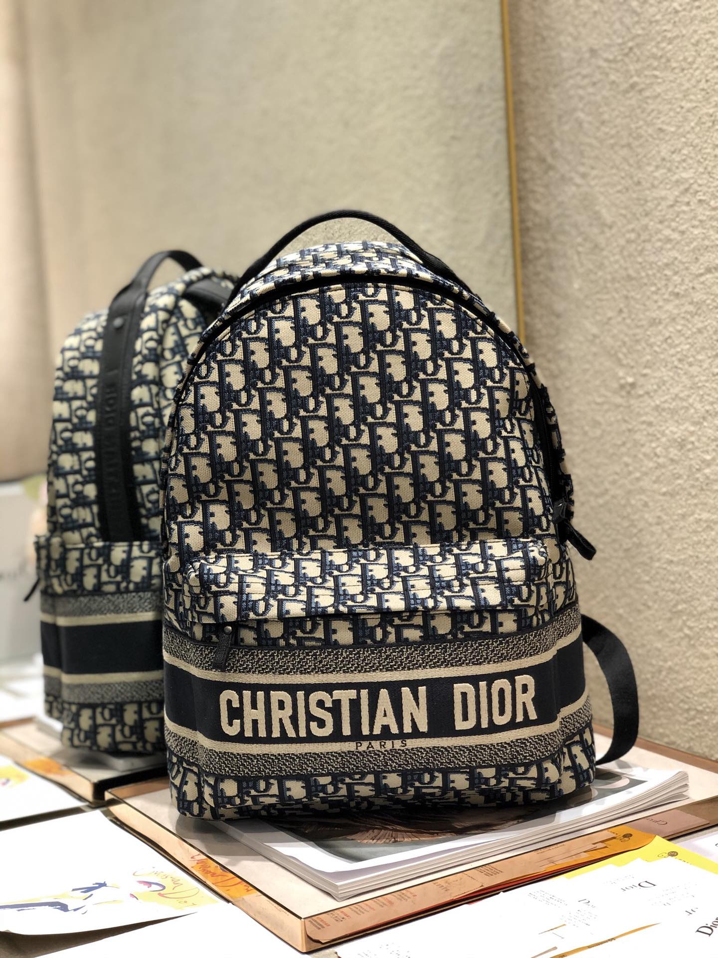 Dior Taschen Rucksack Stickerei Unisex Oblique