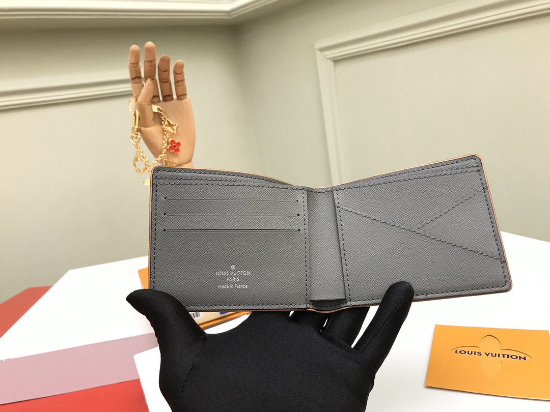 Louis Vuitton Multiple Monogram Titanium Standard everyday