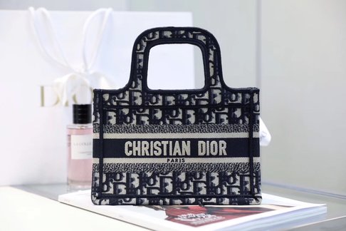 Dior Book Tote AAA Handbags Mini Bags Tote Bags Blue Embroidery Canvas Oblique Mini