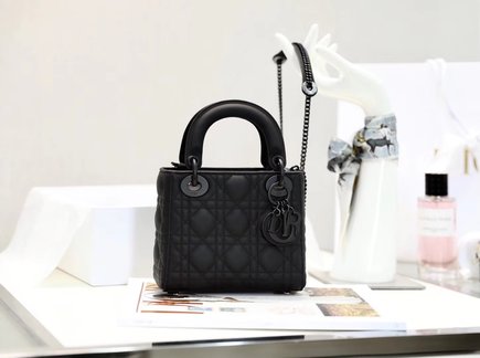 Dior Bags Handbags Black All Steel Lady