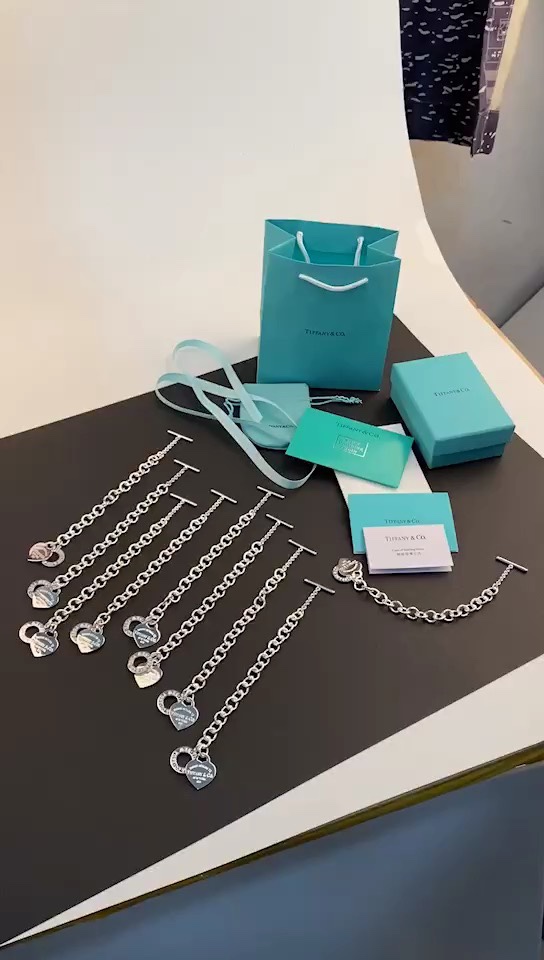 Tiffany & Co. Tiffany 蒂芙尼 针扣粗款手链