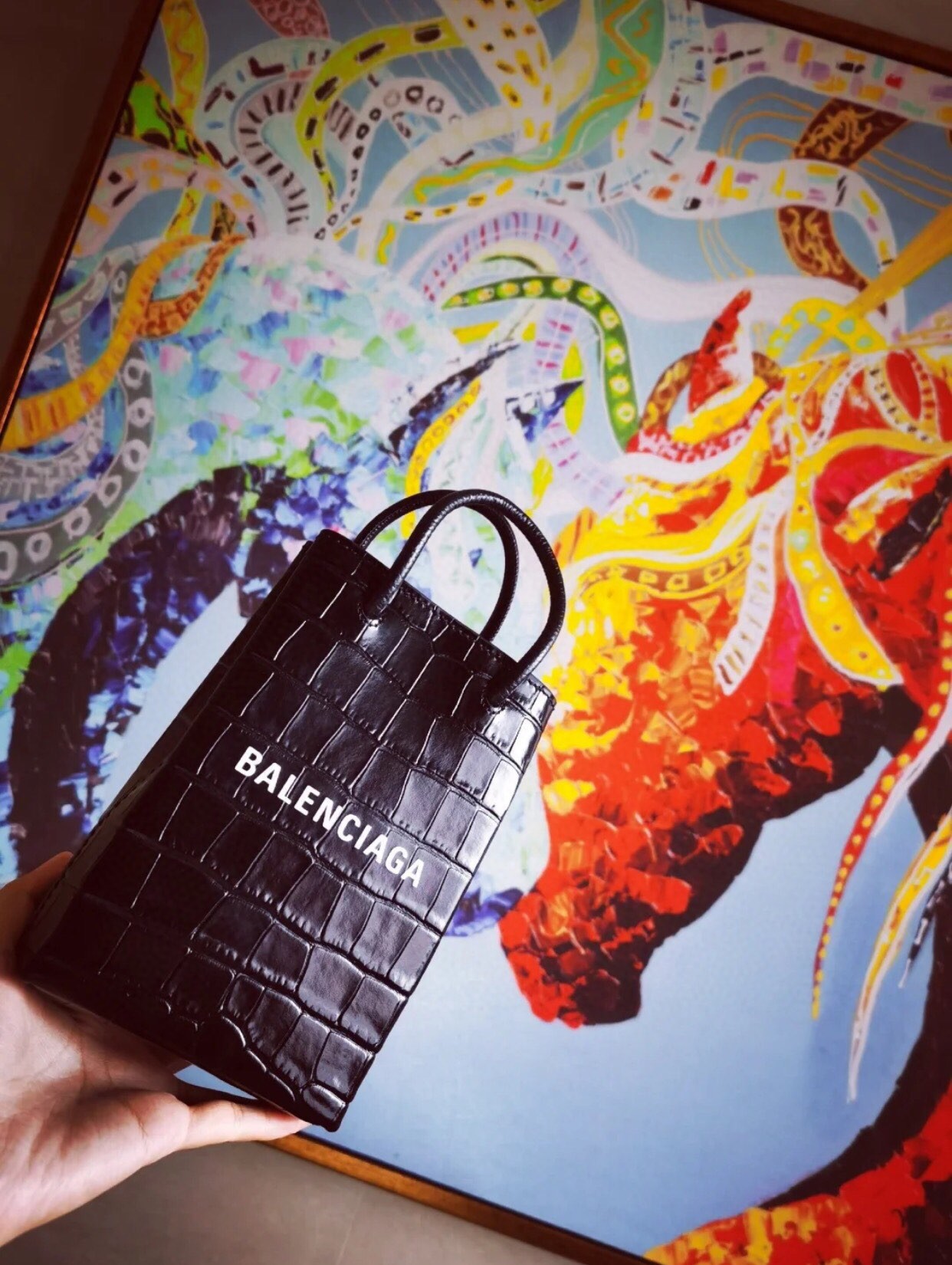 黑色🐊
Balenciagα手机包