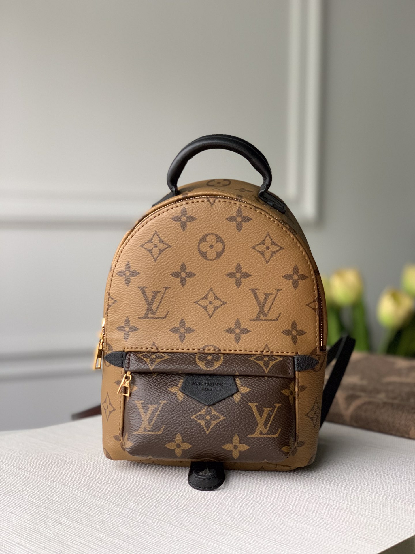 AAAA
 Louis Vuitton LV Palm Springs Bags Backpack Monogram Reverse Canvas Mini