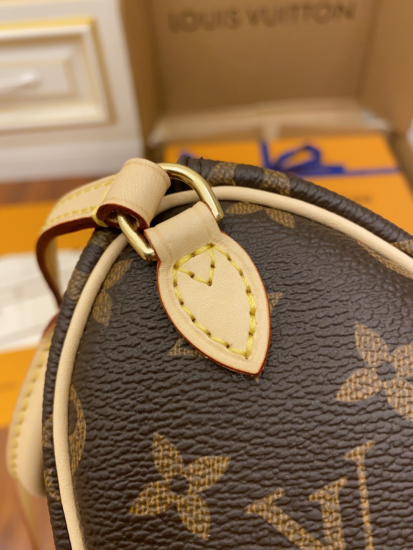 Louis Vuitton LV Nano Speedy 迷你枕头包 M61252