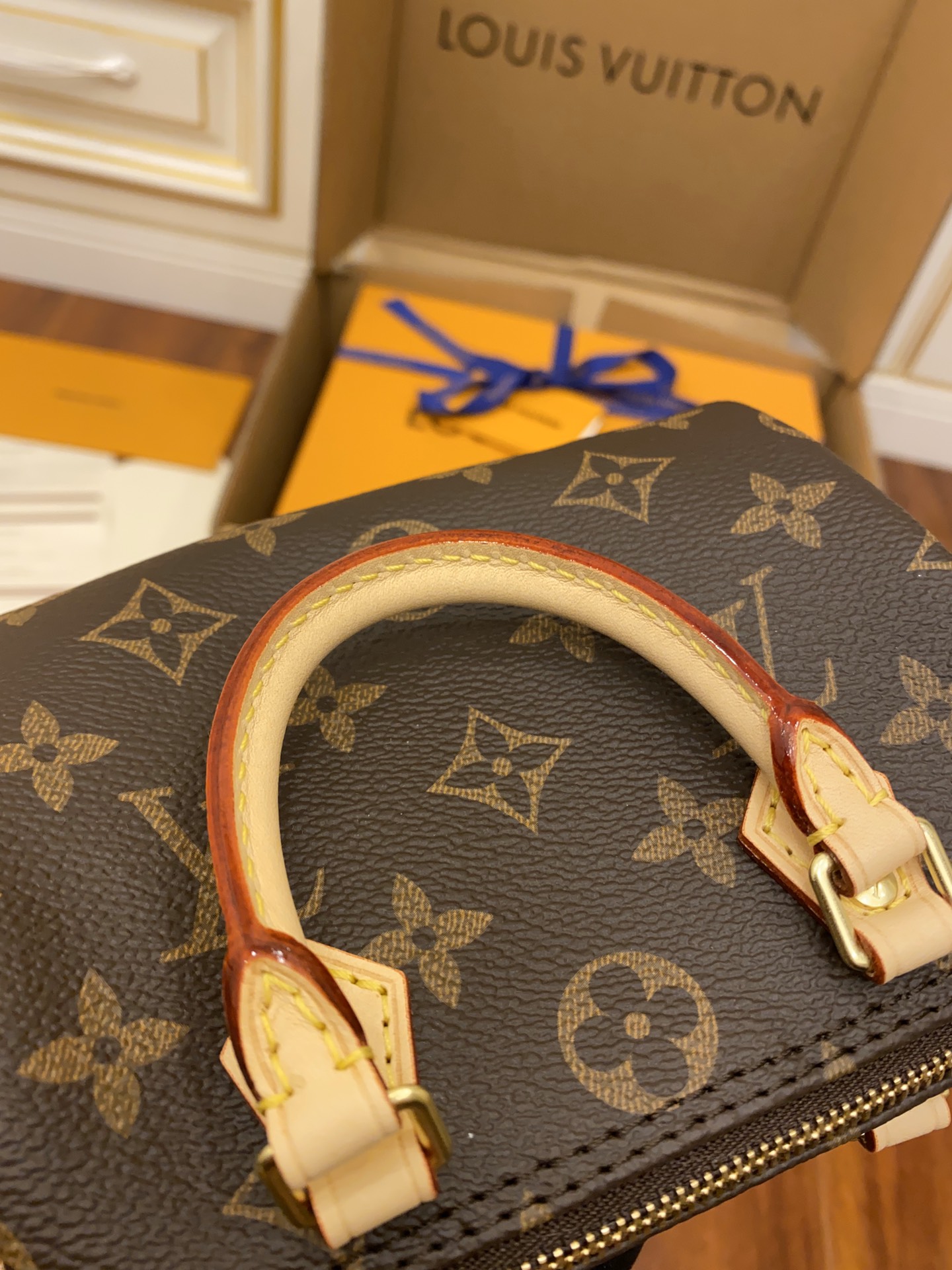 Louis Vuitton LV Nano Speedy 迷你枕头包 M61252