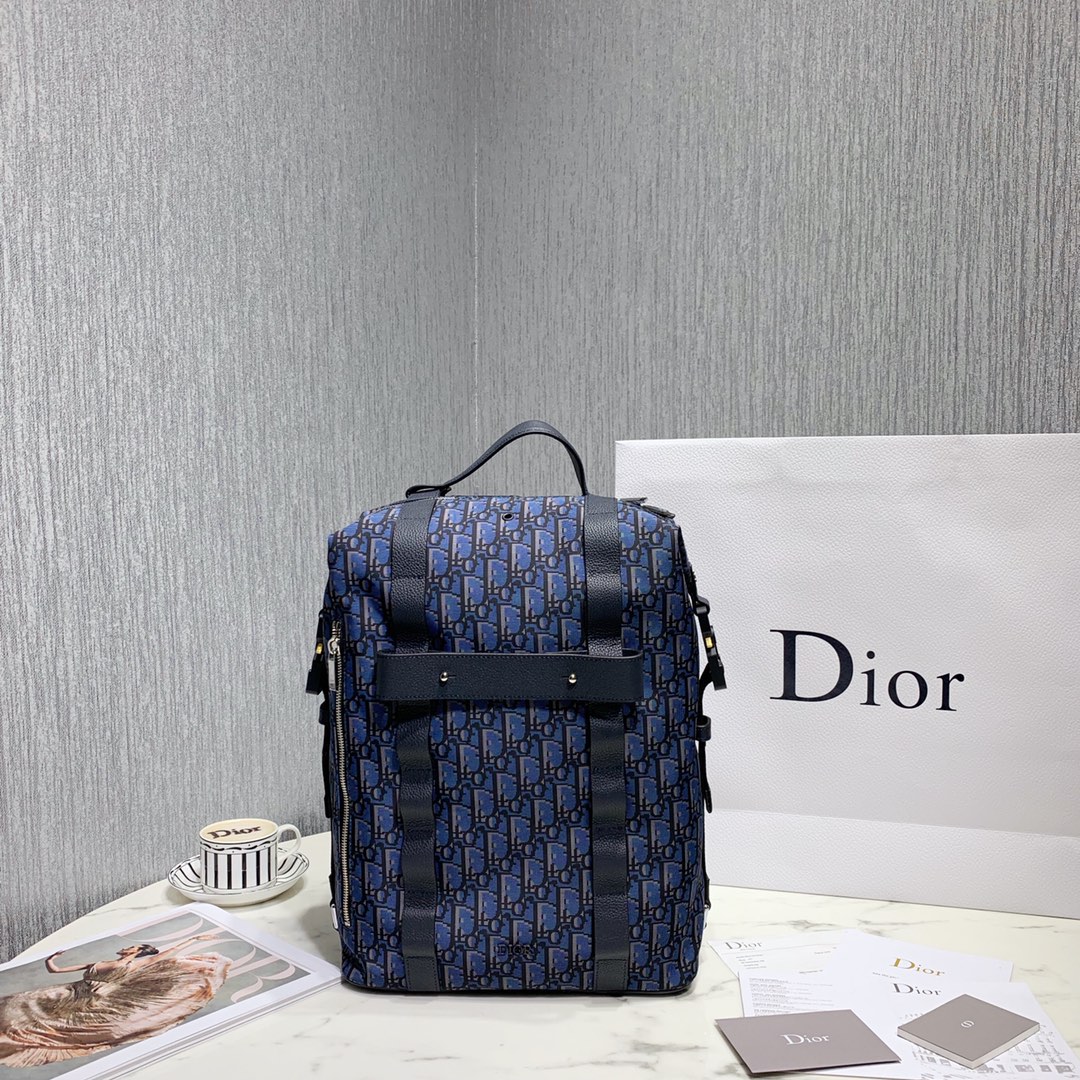 Dior Bags Backpack Cowhide Oblique