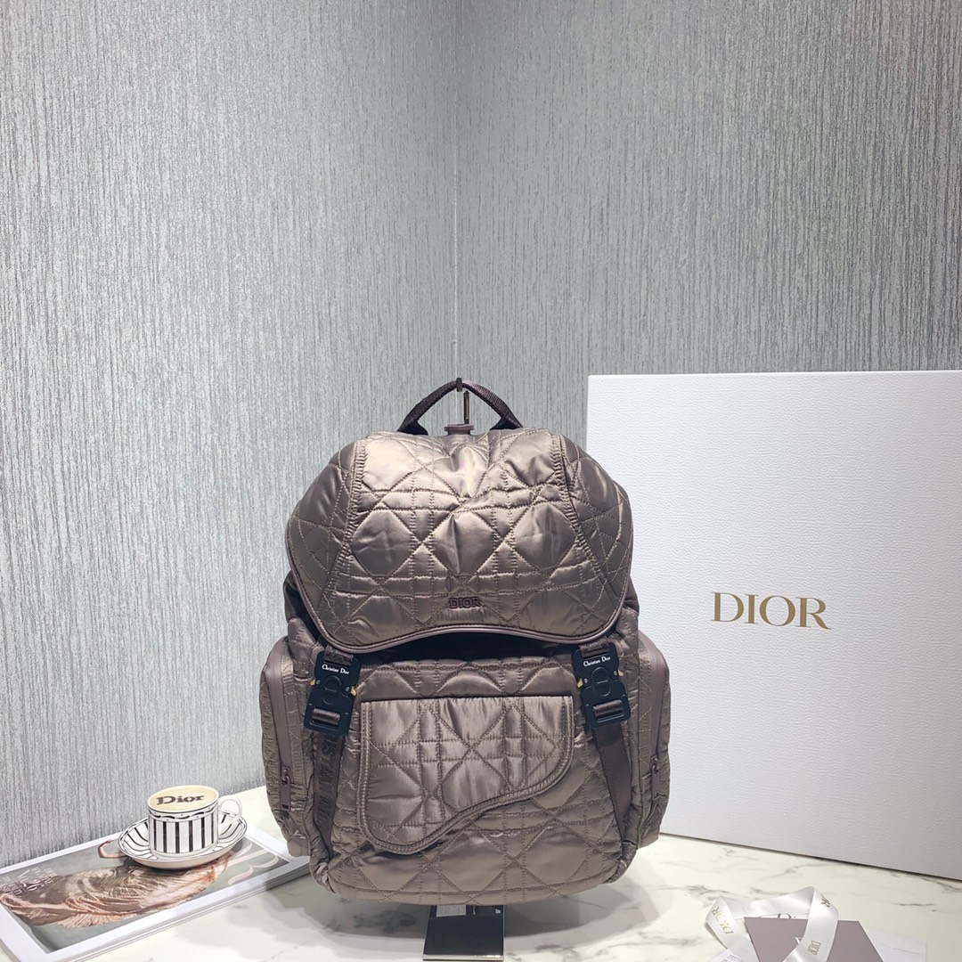 Dior Saddle Bags Backpack Embroidery Cowhide Nylon