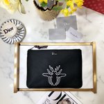 Dior Clutches & Pouch Bags Black Embroidery Nylon