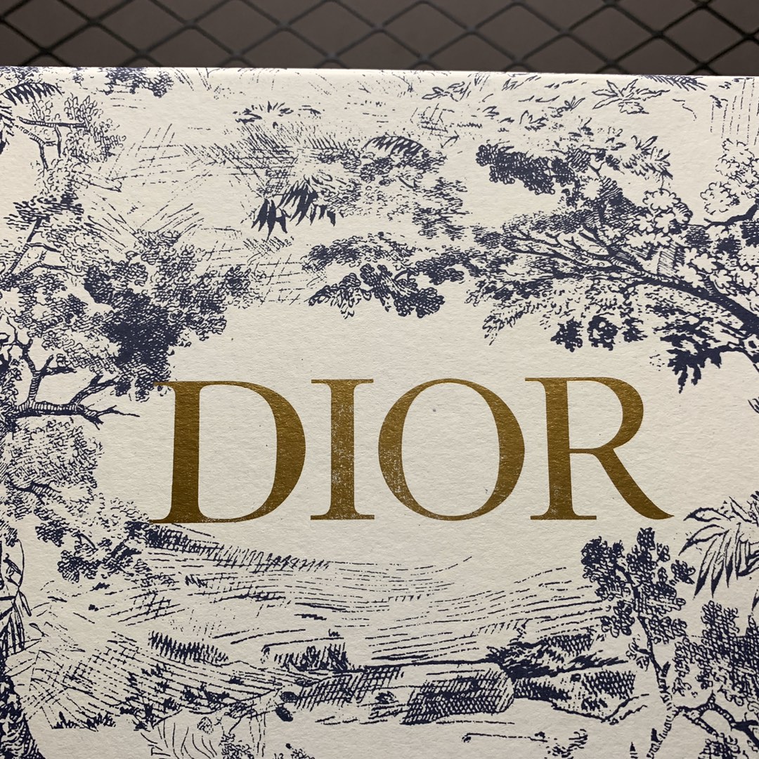 280 官网主推款 Dior 20s 春夏首秀 迪奥渔夫鞋系列 原单代购渠道版本