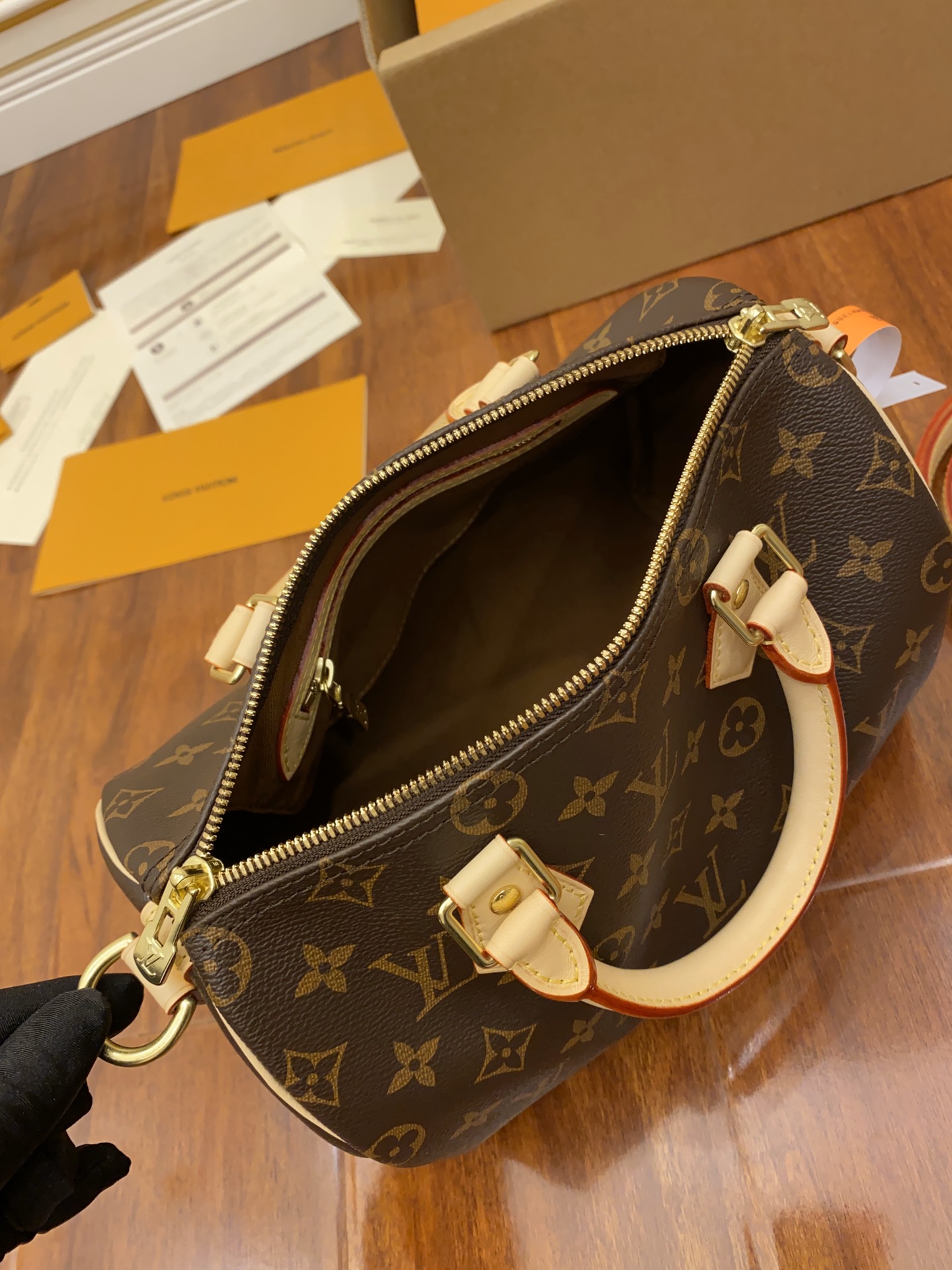 Louis Vuitton LV Speedy 25 枕头包 M41113