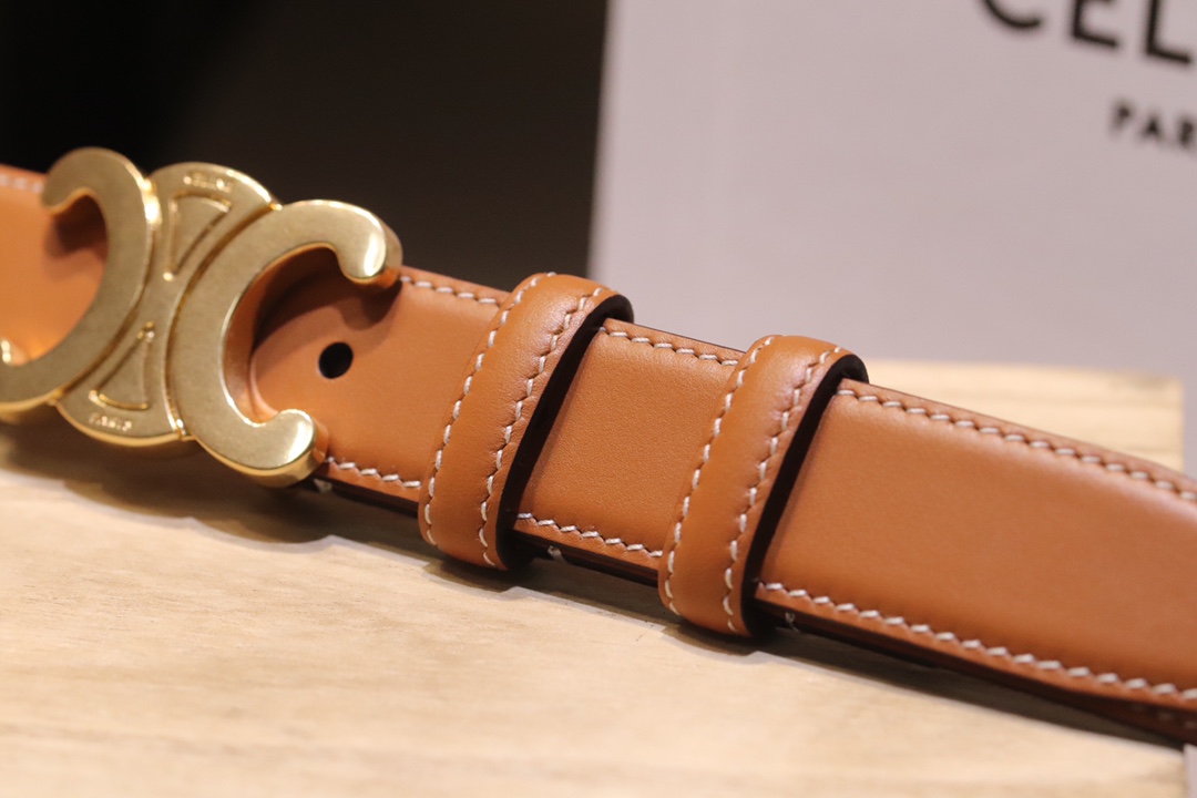 Celine Zeline Spring Belt: Original Design, Gold Buttons, Italian Calves, 2.5 Width. - 图片 3