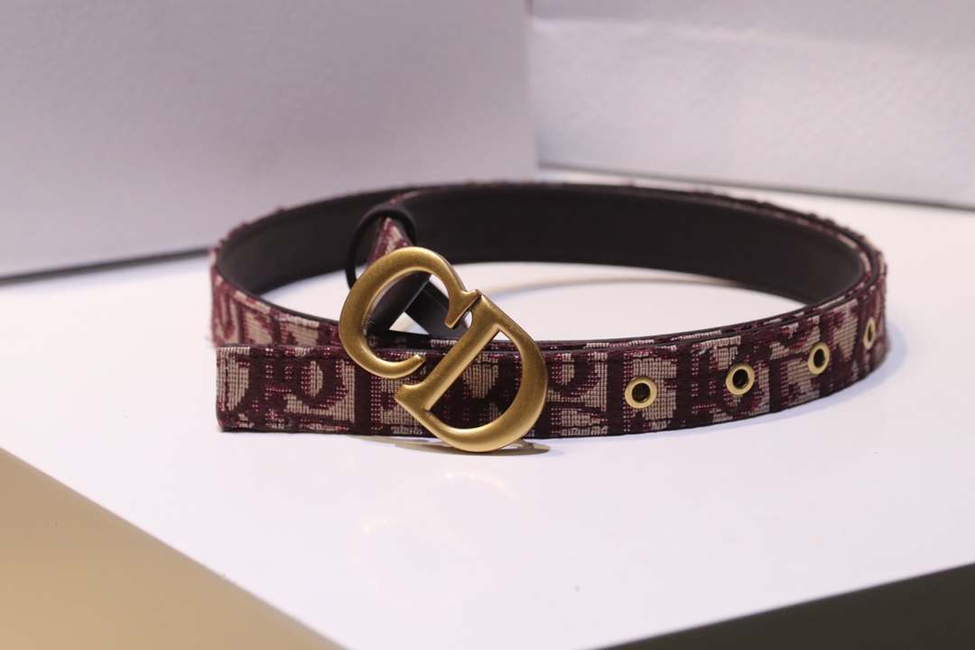 “Diorquake Black Cow Skinbelt: Top-level Christian Dior Leather Belt, 20mm Width” - 图片 2