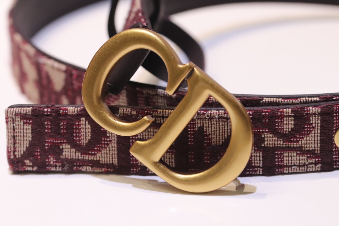 “Diorquake Black Cow Skinbelt: Top-level Christian Dior Leather Belt, 20mm Width” - 图片 6