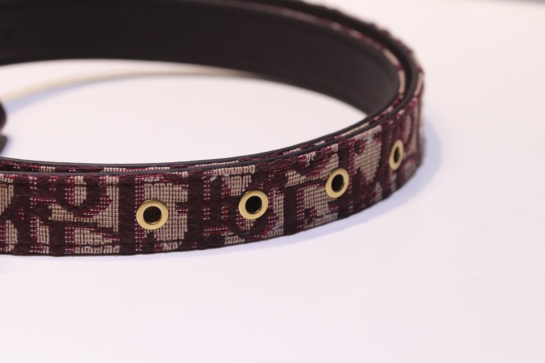 “Diorquake Black Cow Skinbelt: Top-level Christian Dior Leather Belt, 20mm Width” - 图片 7