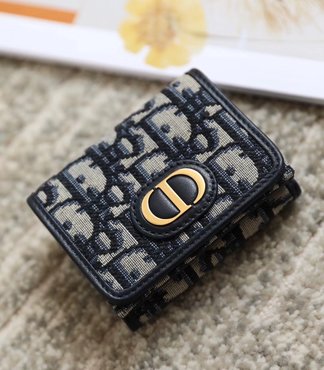 Dior Wallet Blue Printing Oblique Mini